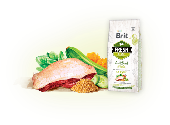 Brit Fresh Duck with Millet 12kg