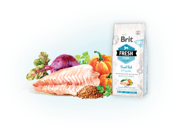 Brit Fresh Fish with Pumpkin Adult Large 2,5kg