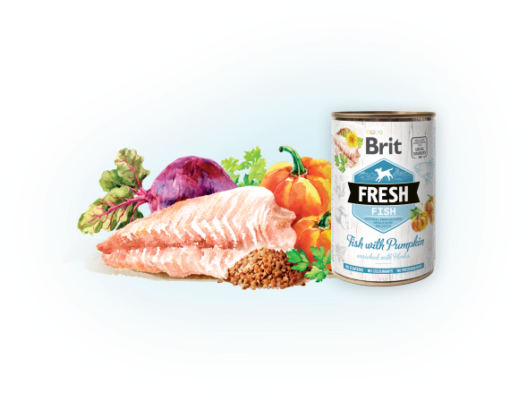 BRIT Fresh can Fish with Pumpkin 400g