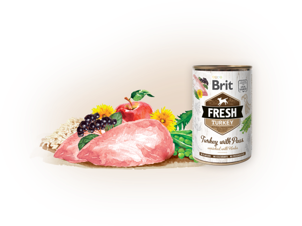 BRIT Fresh can Turkey with Peas 400g