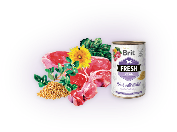 BRIT Fresh can Veal with Millet 400g