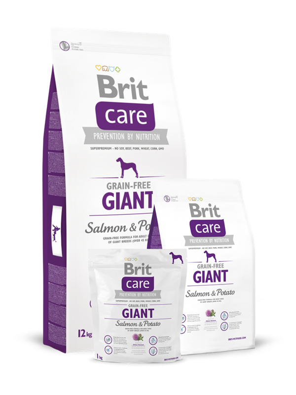 Brit Care Grain-free Giant Salmon & Potato 1 kg