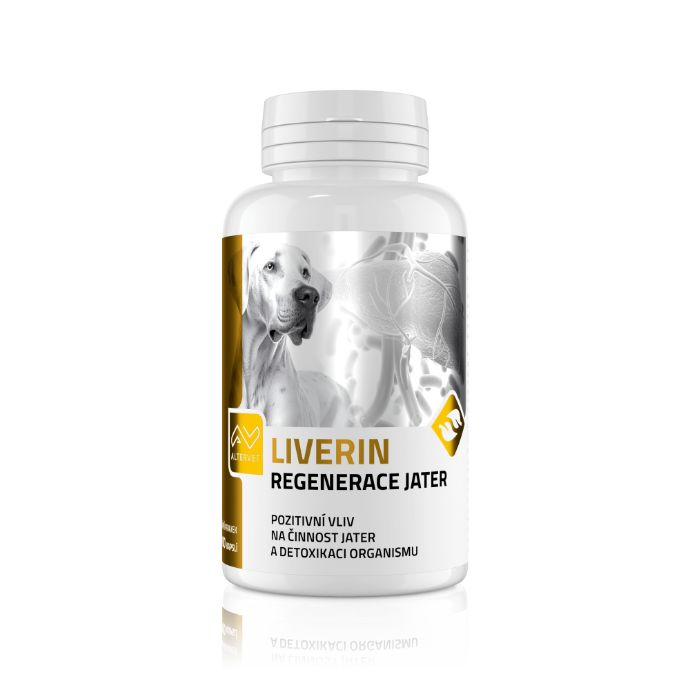LIVERIN 100 kapslí