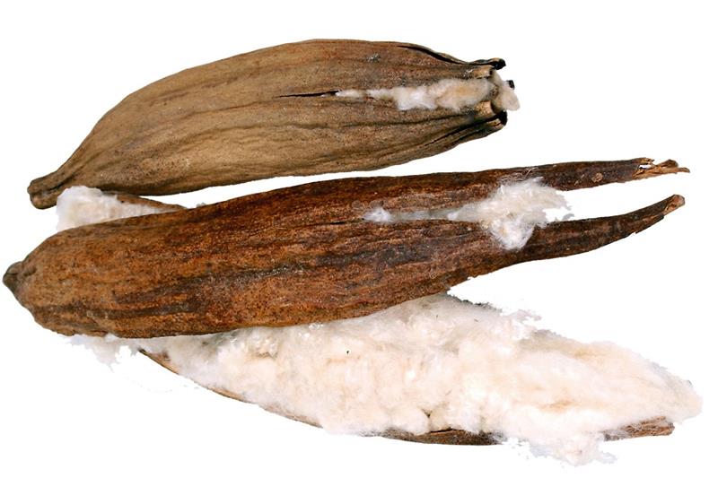 Jr Farm Kapok na výrobu křeččích hnízd 1 lusk