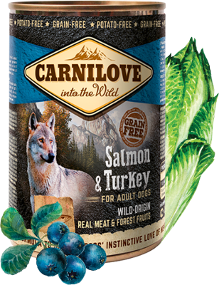 Konzerva CARNILOVE Dog Wild Meat Salmon & Turkey 400g