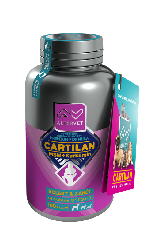 AV CARTILAN MSM+Kurkumin 100 tablet