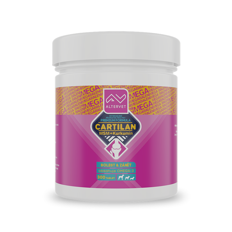 AV CARTILAN MSM+Kurkumin MEGA 300 tablet