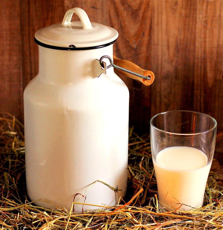 Kozí syrovátka 0,5l